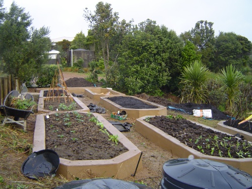Beginning of June vege gardens are finished and being planted